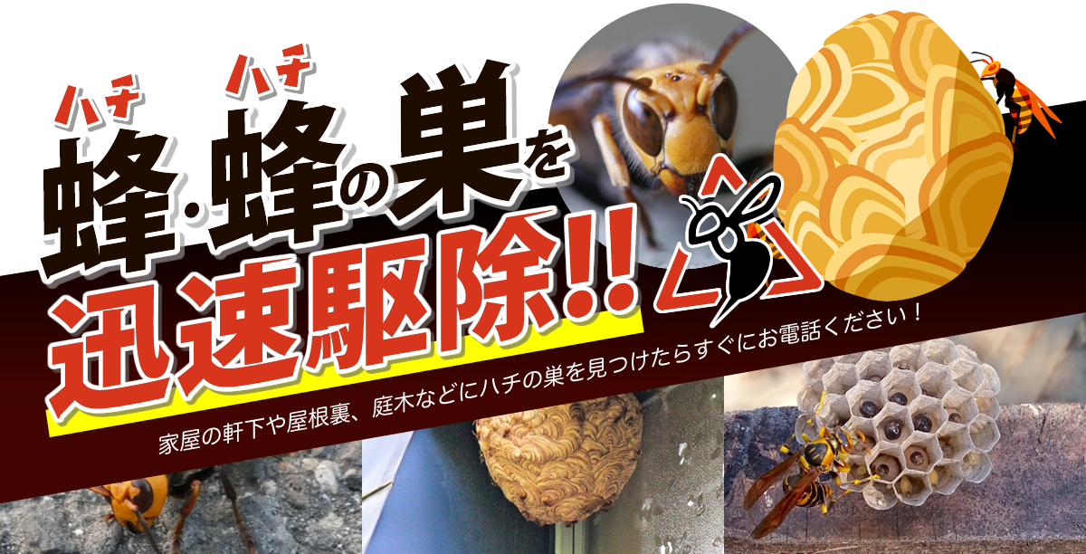 蜂・蜂の巣を迅速駆除！！家屋の軒下や屋根裏、庭木などにハチの巣を見つけたらすぐにお電話ください！