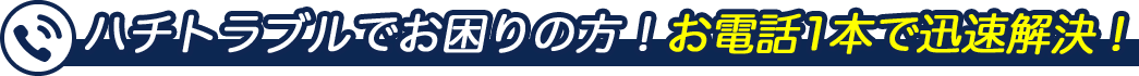 ハチトラブルでお困りの方！お電話1本で迅速解決！