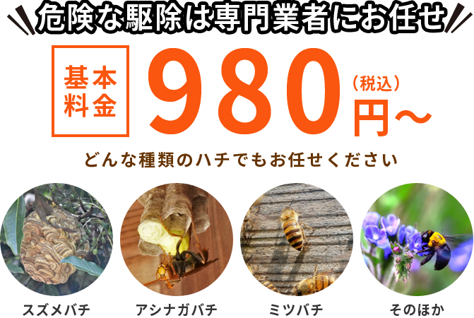 危険な駆除は専門業者にお任せ 基本料金980円（税込）～ スズメバチ・アシナガバチ・ミツバチ・その他どんな種類の蜂でもお任せください